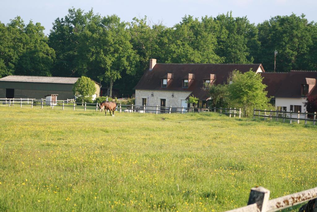 Chambres Et Table D'Hotes Les Machetieres Langeais Kültér fotó